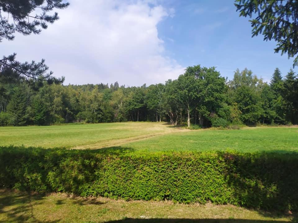 Chalet Du Spiemont Champdray Eksteriør bilde
