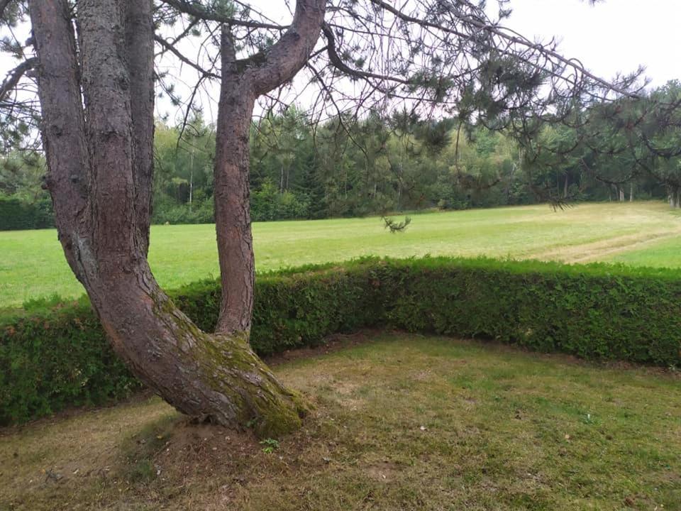 Chalet Du Spiemont Champdray Eksteriør bilde