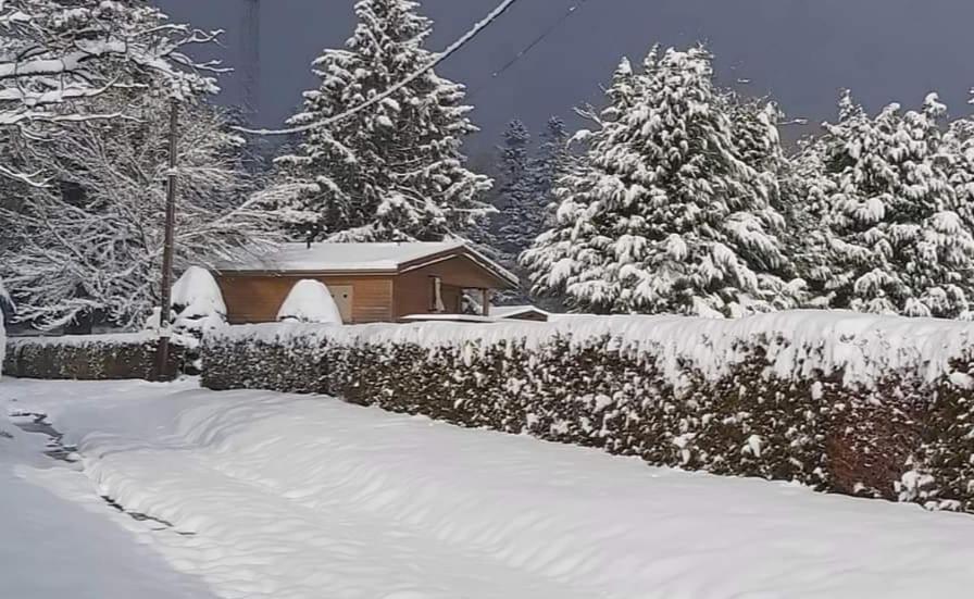 Chalet Du Spiemont Champdray Eksteriør bilde